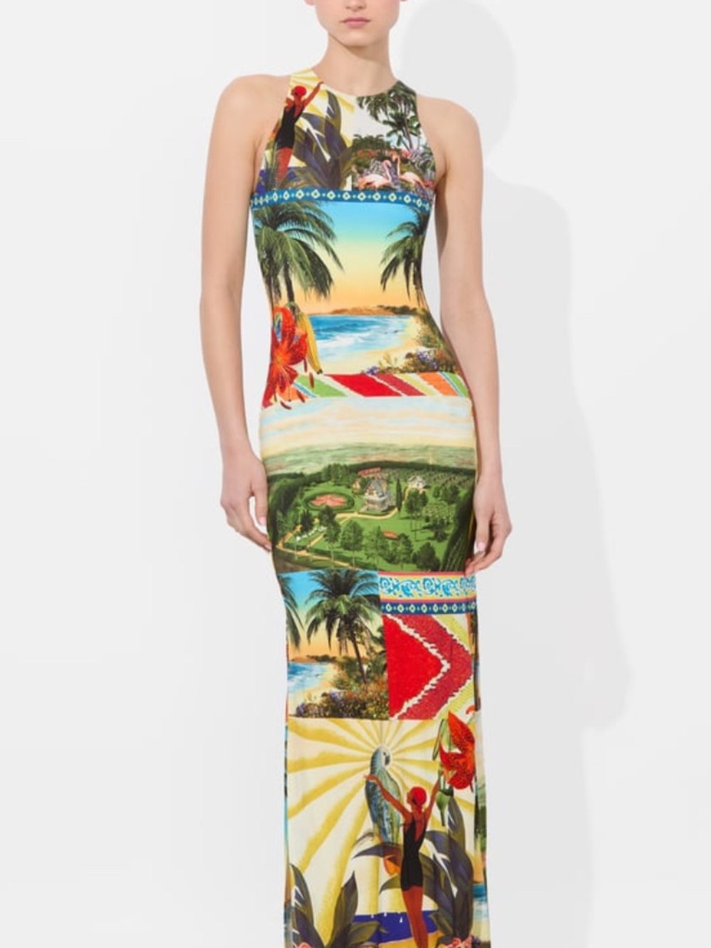 Alice + Olivia PANIA Island Dreams Tropical Print Maxi Dress - Size 2